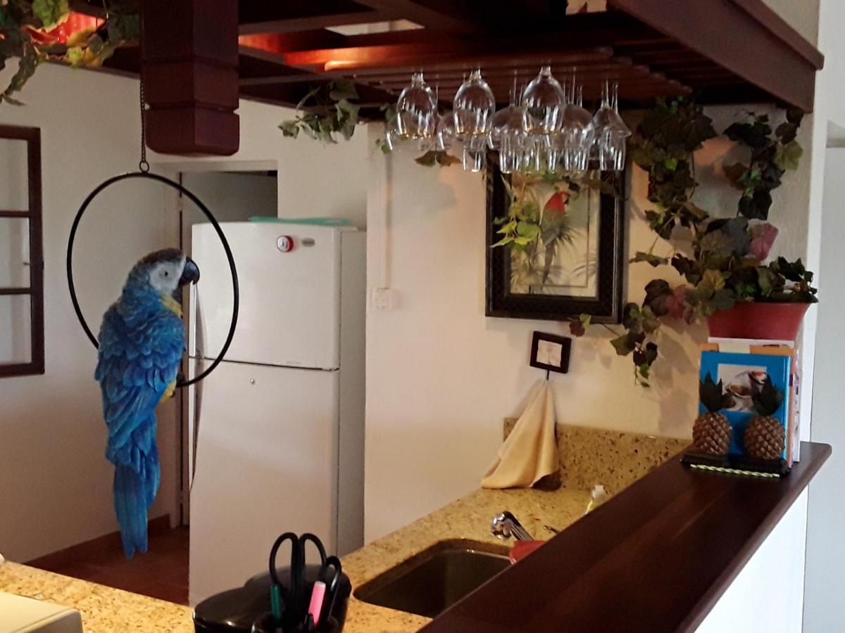 Luxurious Villa In Saint Martin 퀼드삭 외부 사진
